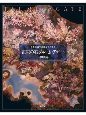 cover image of 花束の石 プルーム・アゲート